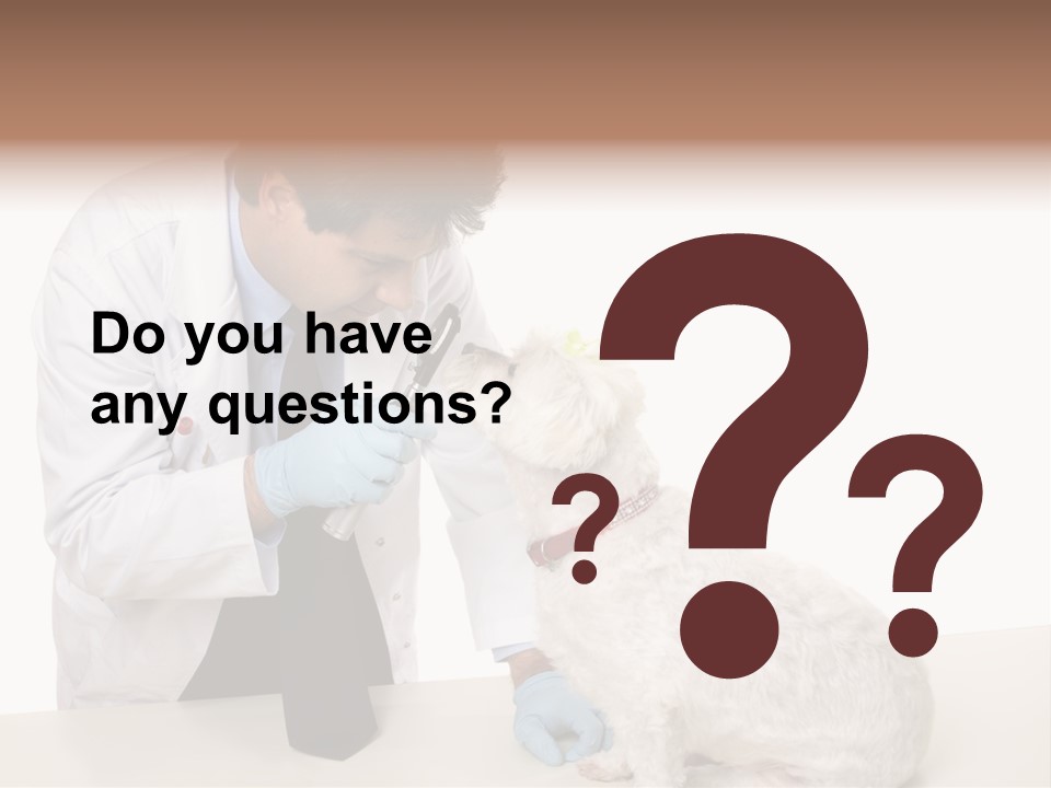 A Veterinarian Using An Instrument To Look Into A Maltese Terrier Dog's Eyes. PowerPoint Template
