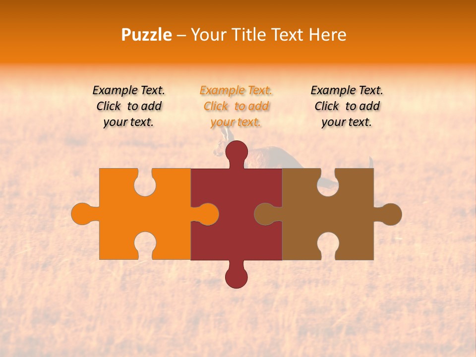 Jumping Kangaroo, Wilpena Pound, Australia PowerPoint Template