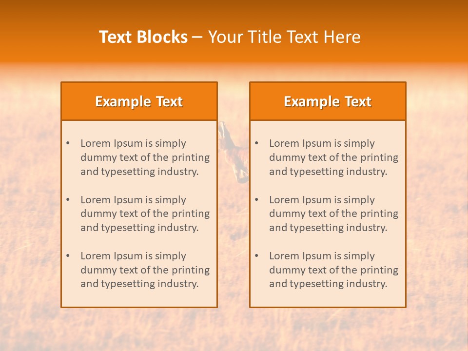 Jumping Kangaroo, Wilpena Pound, Australia PowerPoint Template