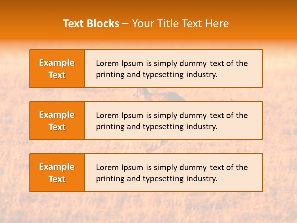Jumping Kangaroo, Wilpena Pound, Australia PowerPoint Template
