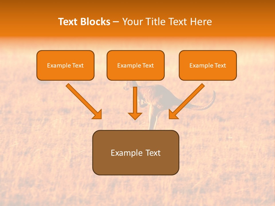 Jumping Kangaroo, Wilpena Pound, Australia PowerPoint Template