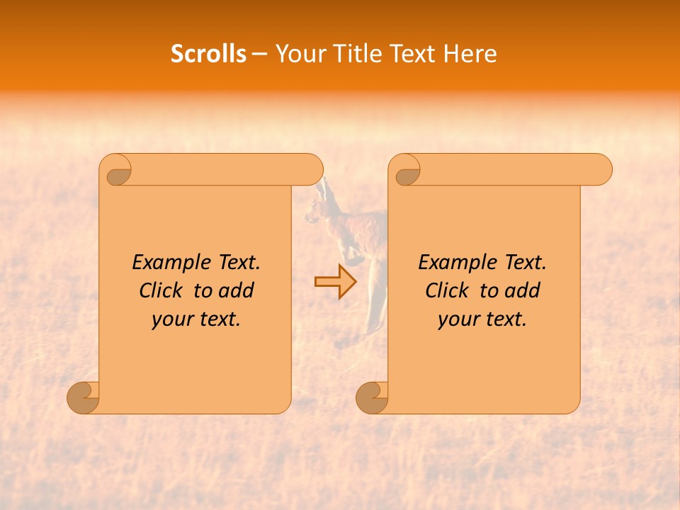 Jumping Kangaroo, Wilpena Pound, Australia PowerPoint Template