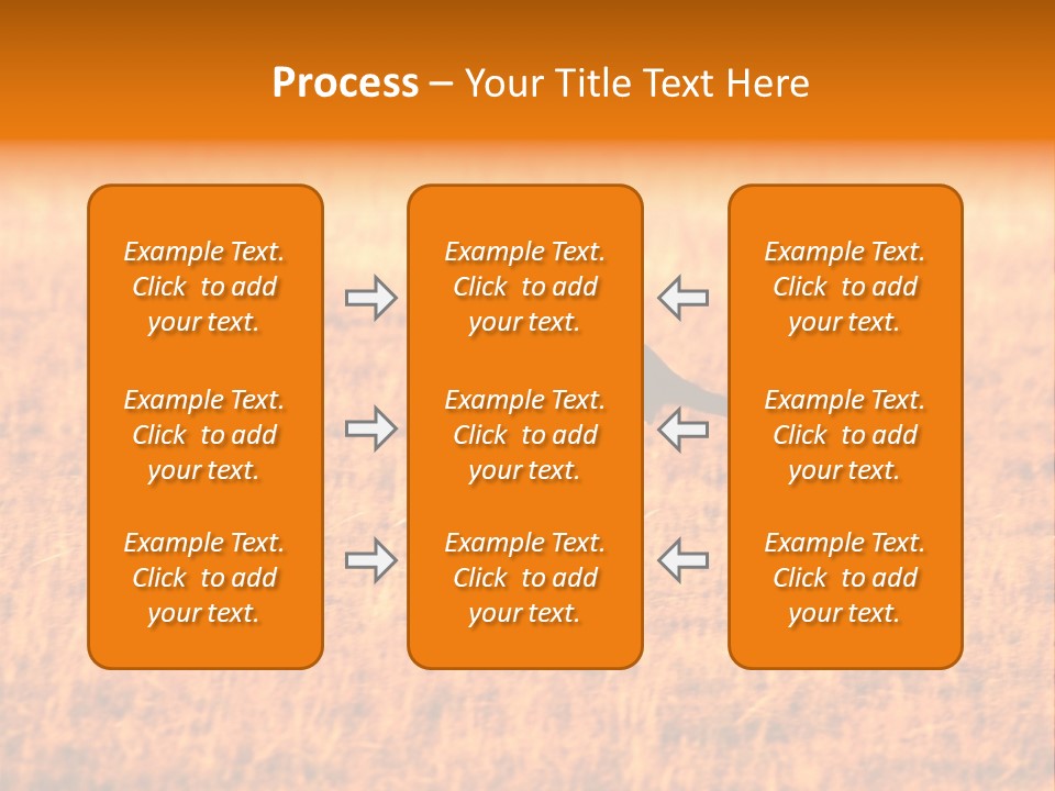 Jumping Kangaroo, Wilpena Pound, Australia PowerPoint Template
