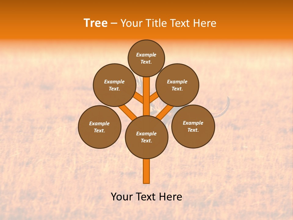 Jumping Kangaroo, Wilpena Pound, Australia PowerPoint Template