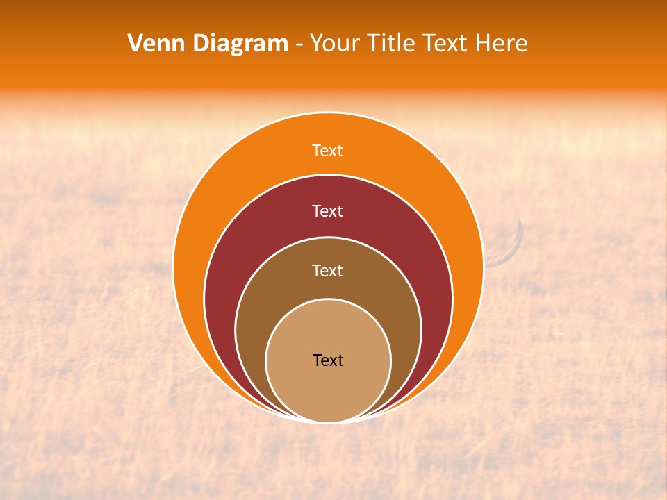 Jumping Kangaroo, Wilpena Pound, Australia PowerPoint Template