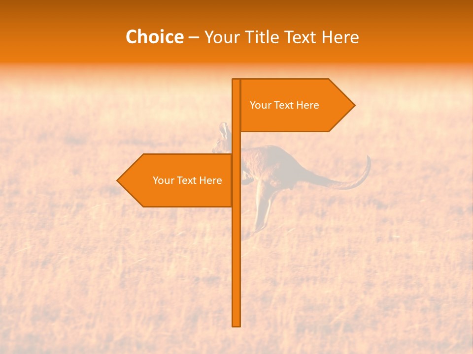 Jumping Kangaroo, Wilpena Pound, Australia PowerPoint Template