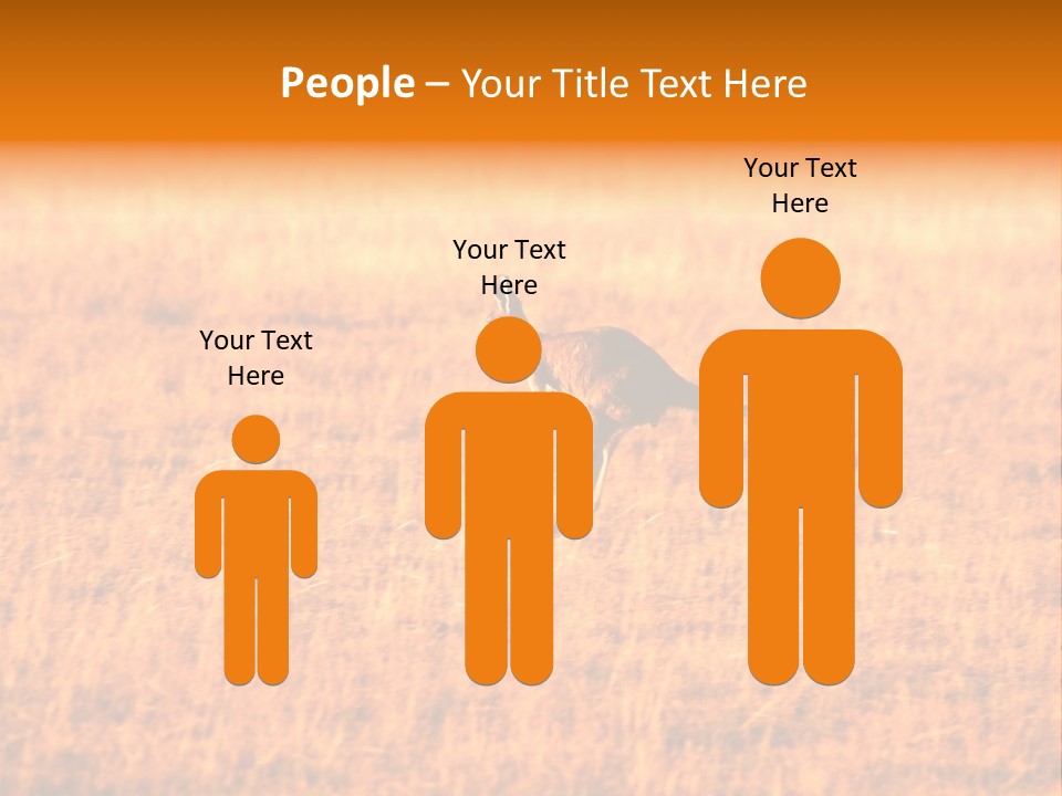 Jumping Kangaroo, Wilpena Pound, Australia PowerPoint Template