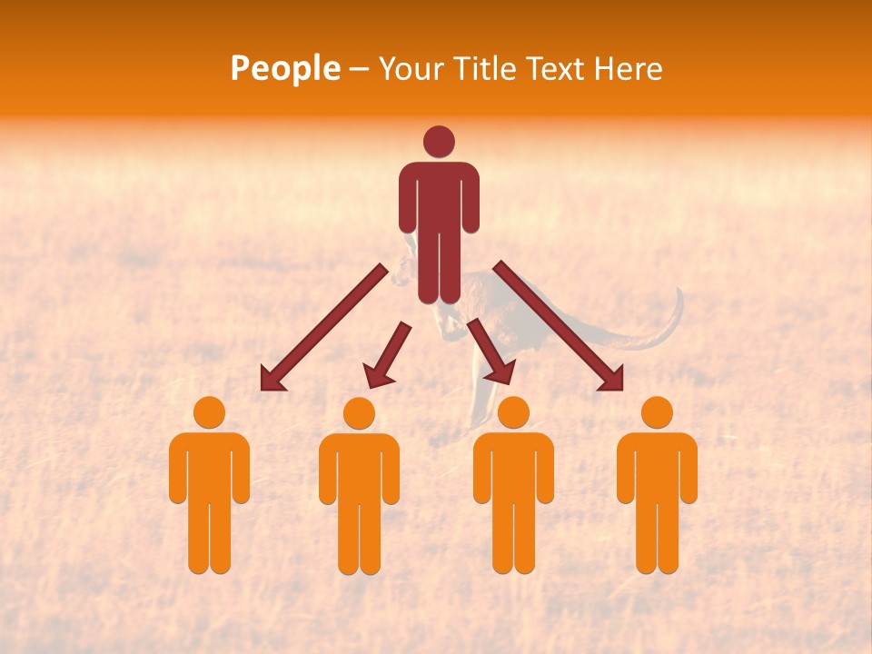 Jumping Kangaroo, Wilpena Pound, Australia PowerPoint Template