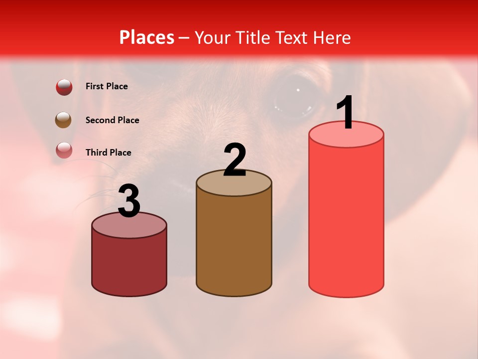 A Brown Dog Laying On Top Of A Red Blanket PowerPoint Template