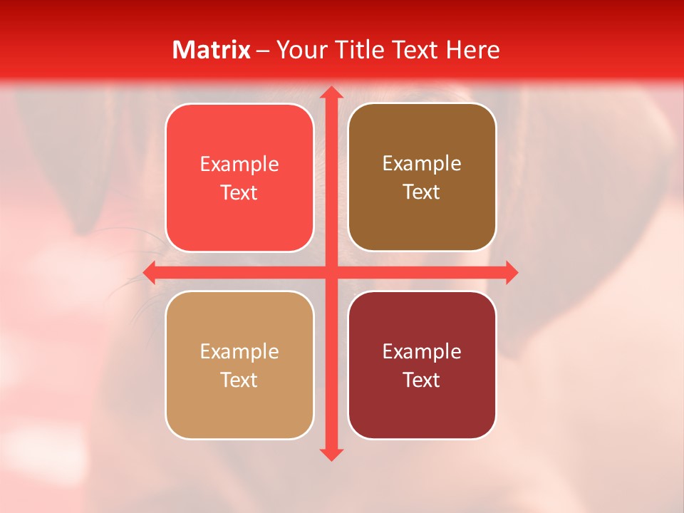 A Brown Dog Laying On Top Of A Red Blanket PowerPoint Template