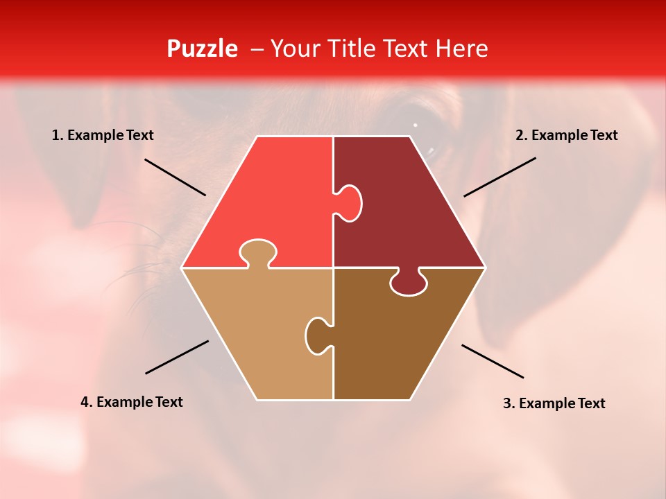 A Brown Dog Laying On Top Of A Red Blanket PowerPoint Template