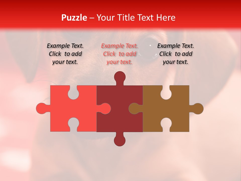 A Brown Dog Laying On Top Of A Red Blanket PowerPoint Template