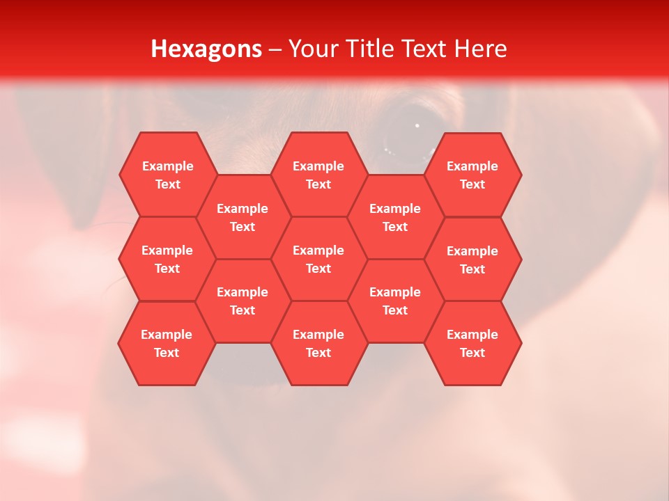 A Brown Dog Laying On Top Of A Red Blanket PowerPoint Template