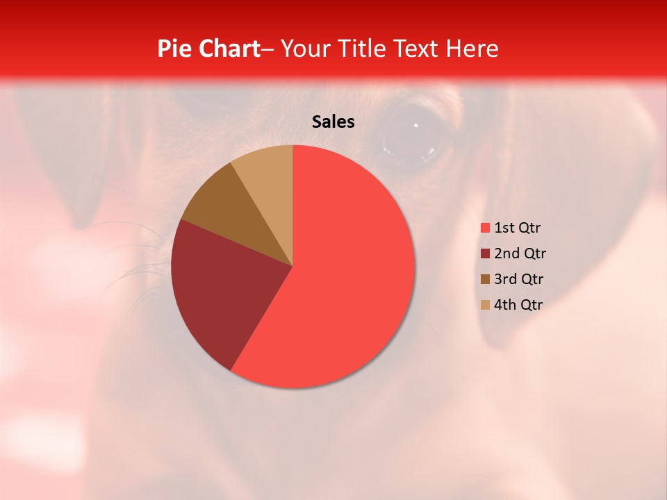 A Brown Dog Laying On Top Of A Red Blanket PowerPoint Template