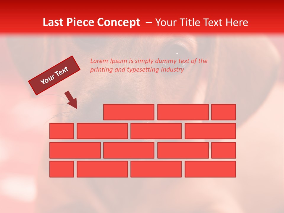 A Brown Dog Laying On Top Of A Red Blanket PowerPoint Template