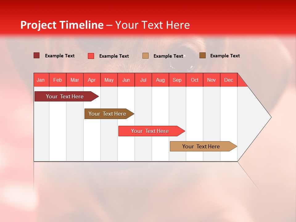 A Brown Dog Laying On Top Of A Red Blanket PowerPoint Template