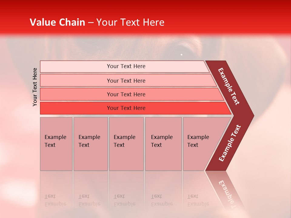 A Brown Dog Laying On Top Of A Red Blanket PowerPoint Template