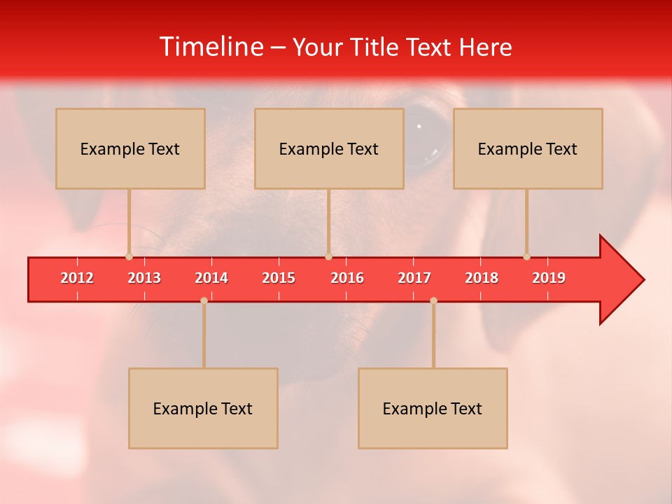 A Brown Dog Laying On Top Of A Red Blanket PowerPoint Template