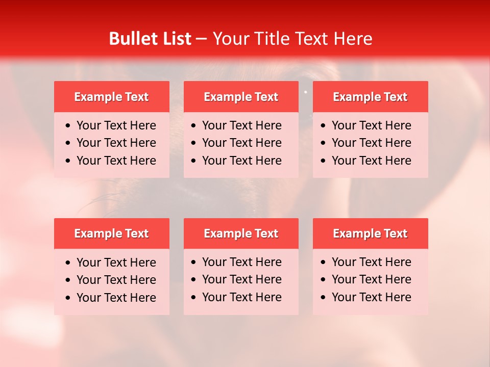 A Brown Dog Laying On Top Of A Red Blanket PowerPoint Template