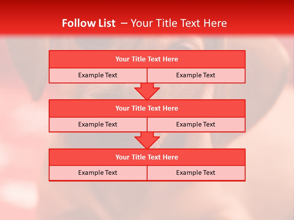 A Brown Dog Laying On Top Of A Red Blanket PowerPoint Template