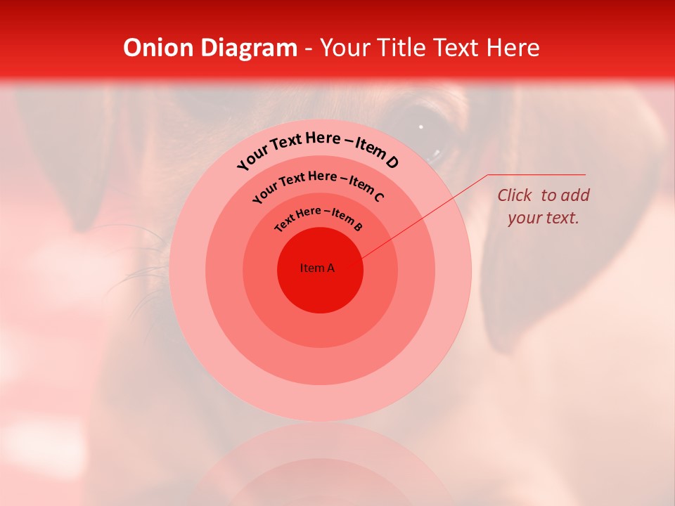 A Brown Dog Laying On Top Of A Red Blanket PowerPoint Template