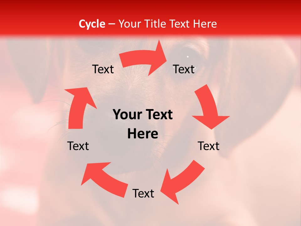 A Brown Dog Laying On Top Of A Red Blanket PowerPoint Template