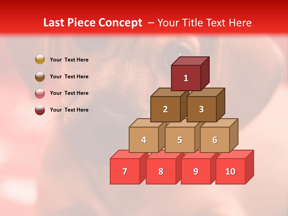 A Brown Dog Laying On Top Of A Red Blanket PowerPoint Template