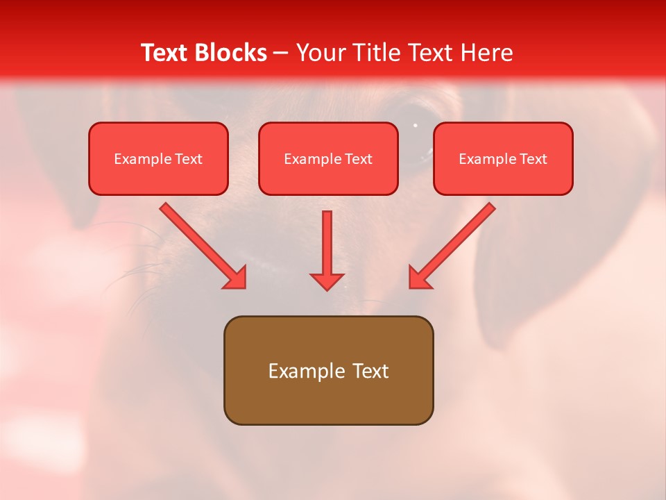 A Brown Dog Laying On Top Of A Red Blanket PowerPoint Template