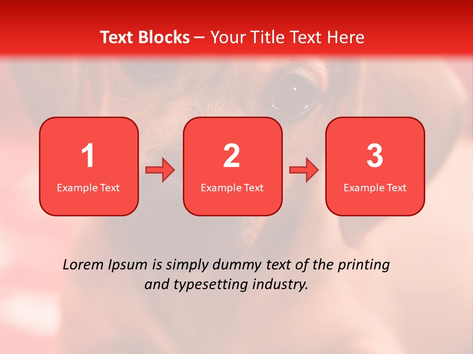 A Brown Dog Laying On Top Of A Red Blanket PowerPoint Template