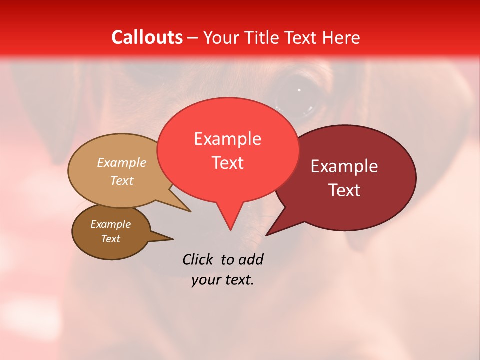 A Brown Dog Laying On Top Of A Red Blanket PowerPoint Template