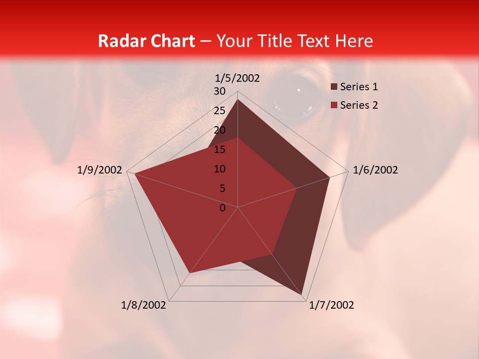 A Brown Dog Laying On Top Of A Red Blanket PowerPoint Template