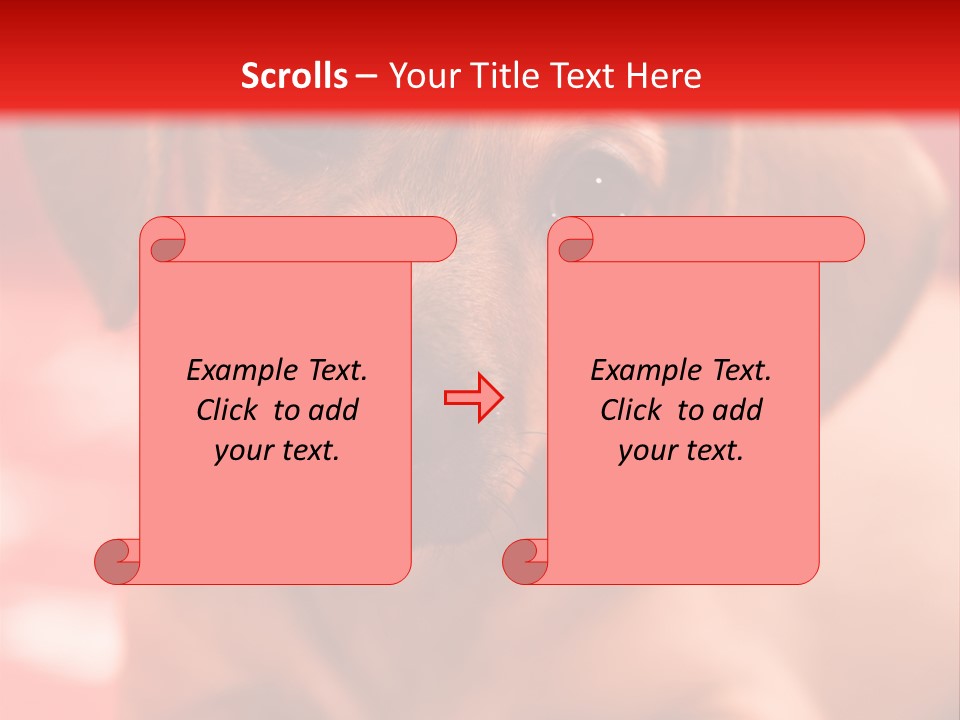 A Brown Dog Laying On Top Of A Red Blanket PowerPoint Template