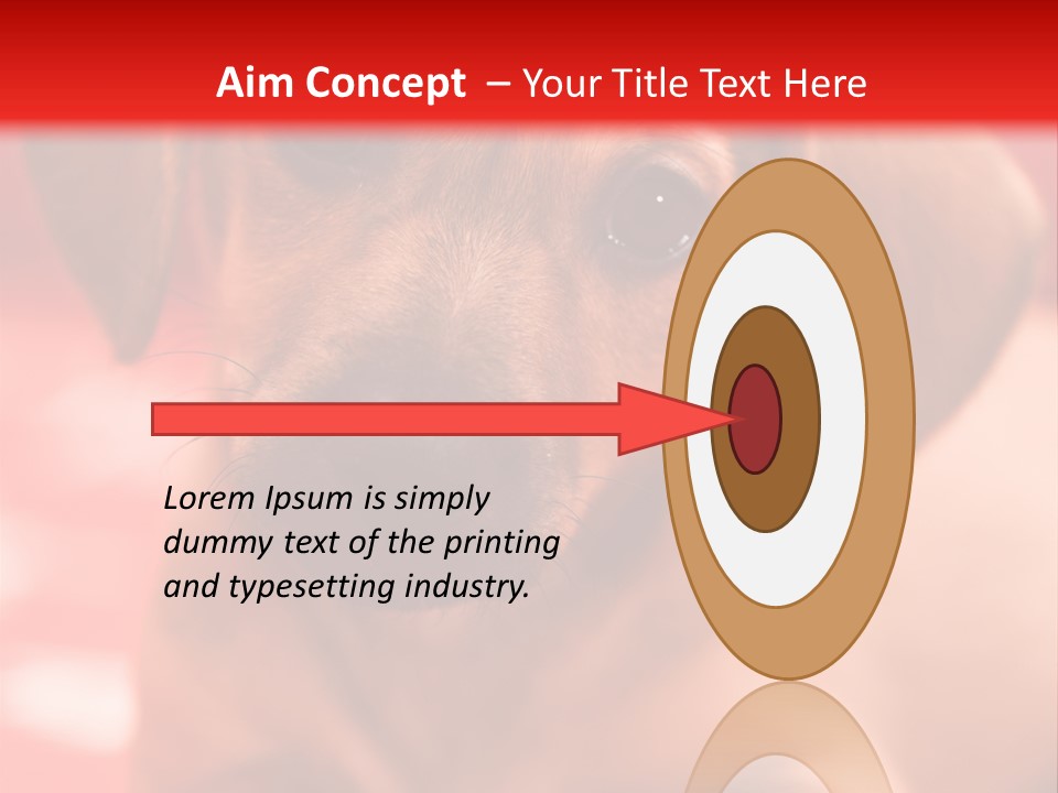 A Brown Dog Laying On Top Of A Red Blanket PowerPoint Template