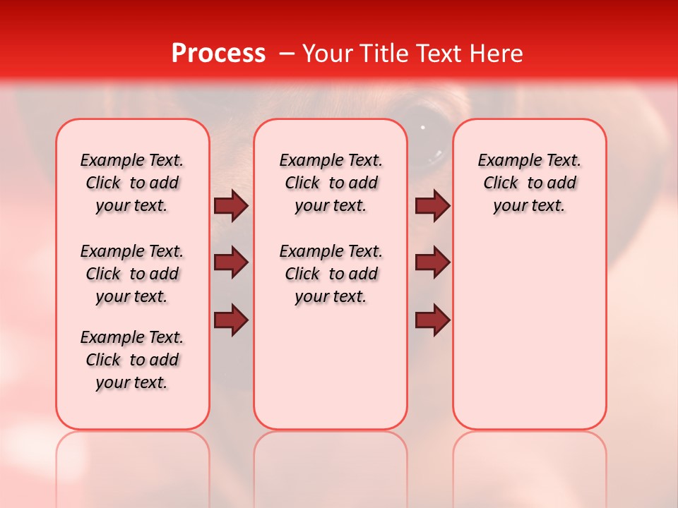A Brown Dog Laying On Top Of A Red Blanket PowerPoint Template