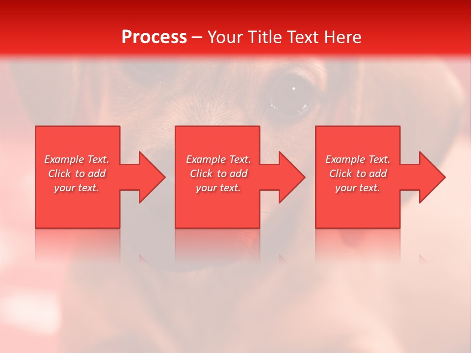 A Brown Dog Laying On Top Of A Red Blanket PowerPoint Template