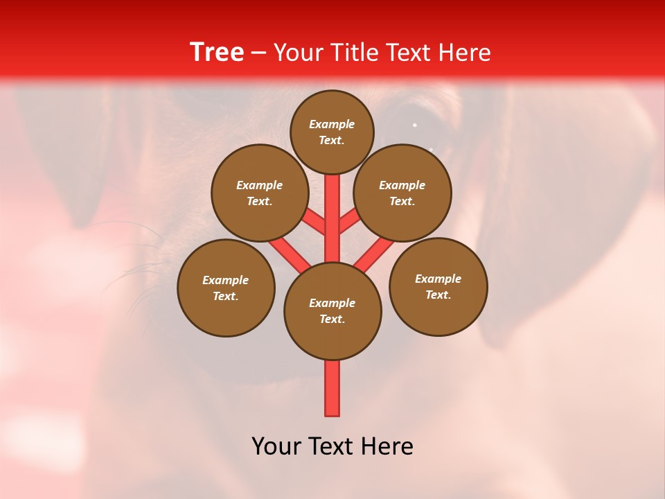 A Brown Dog Laying On Top Of A Red Blanket PowerPoint Template