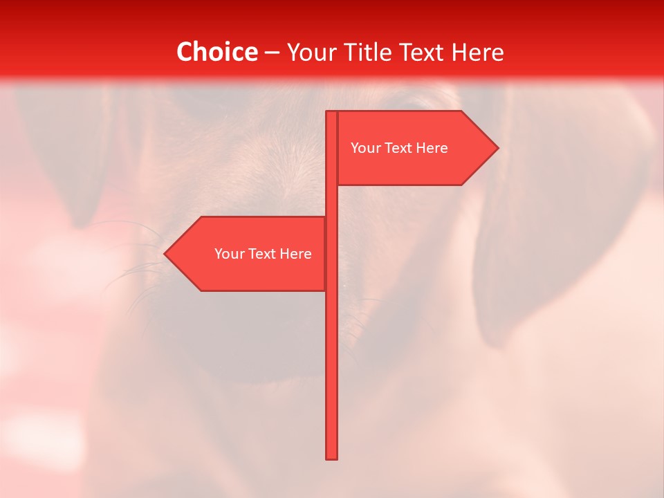 A Brown Dog Laying On Top Of A Red Blanket PowerPoint Template