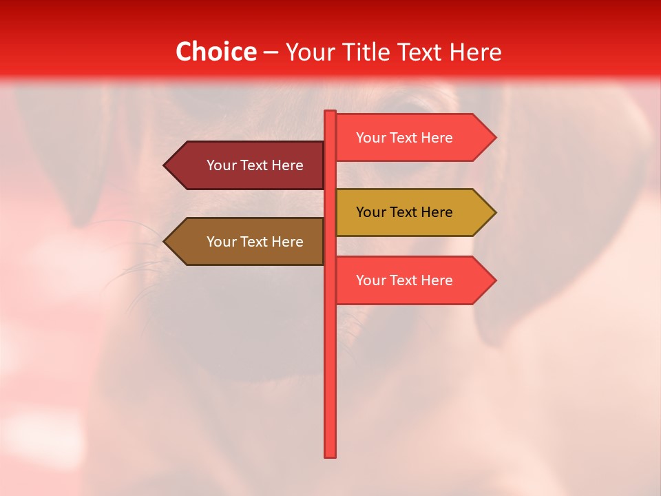 A Brown Dog Laying On Top Of A Red Blanket PowerPoint Template