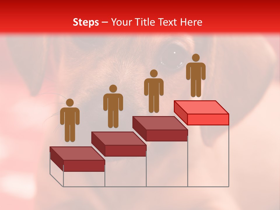 A Brown Dog Laying On Top Of A Red Blanket PowerPoint Template