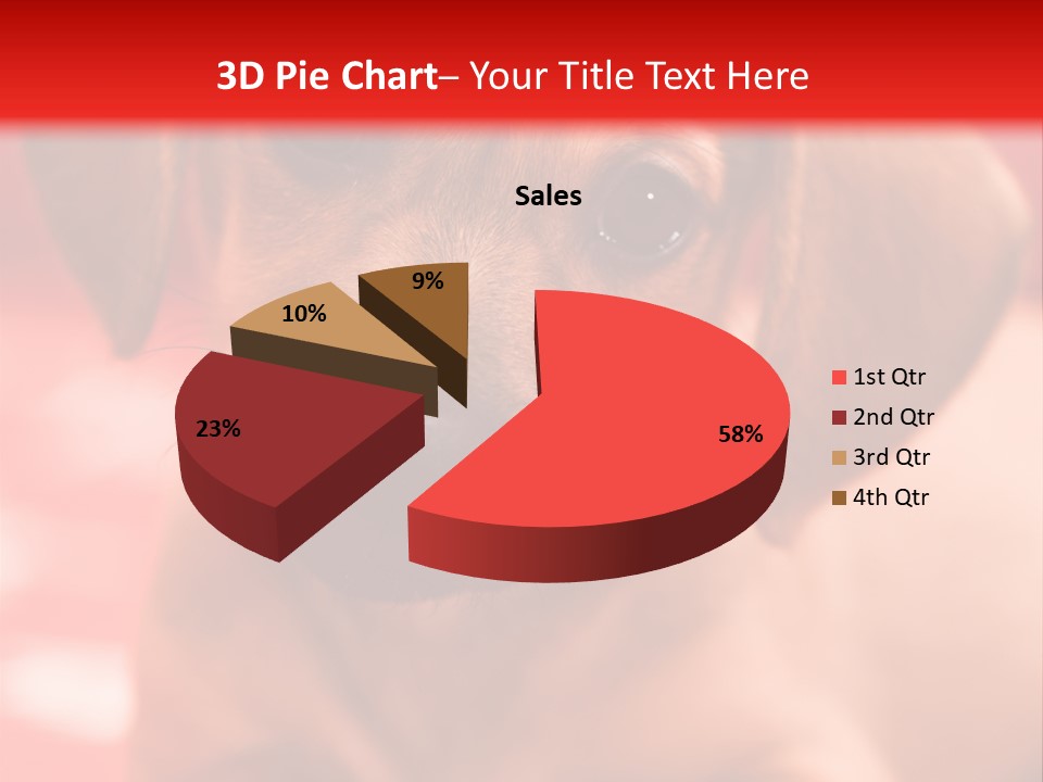 A Brown Dog Laying On Top Of A Red Blanket PowerPoint Template