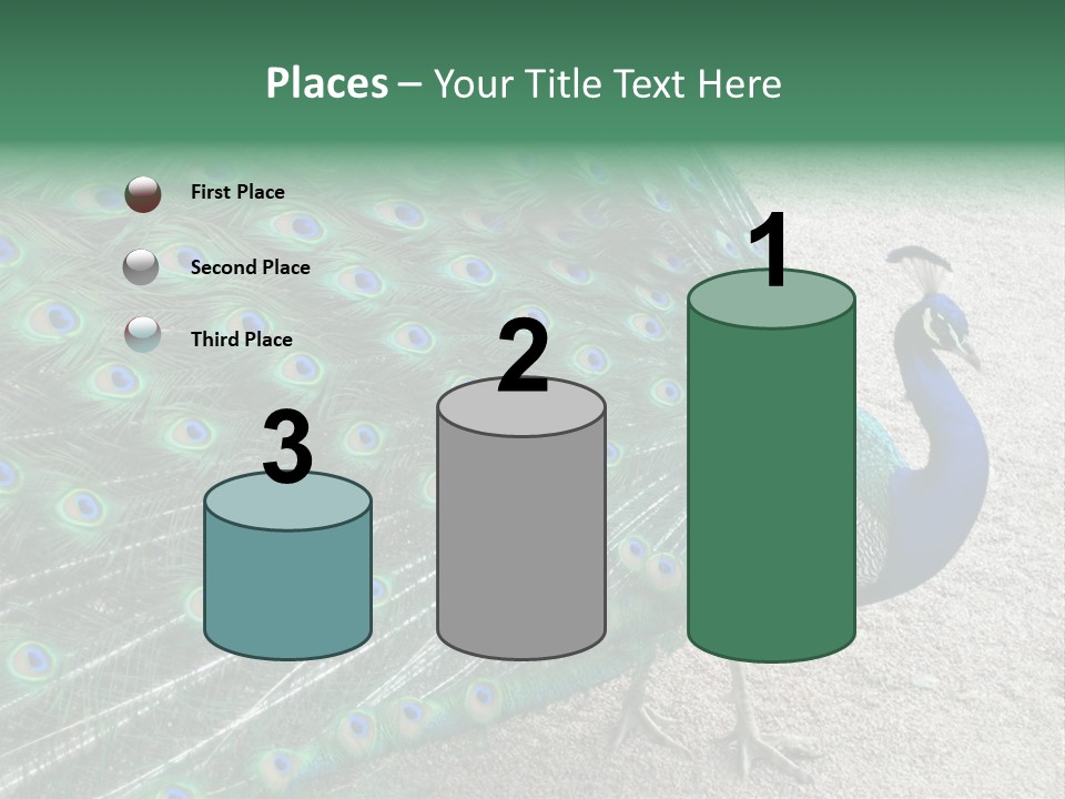 Peacock PowerPoint Template