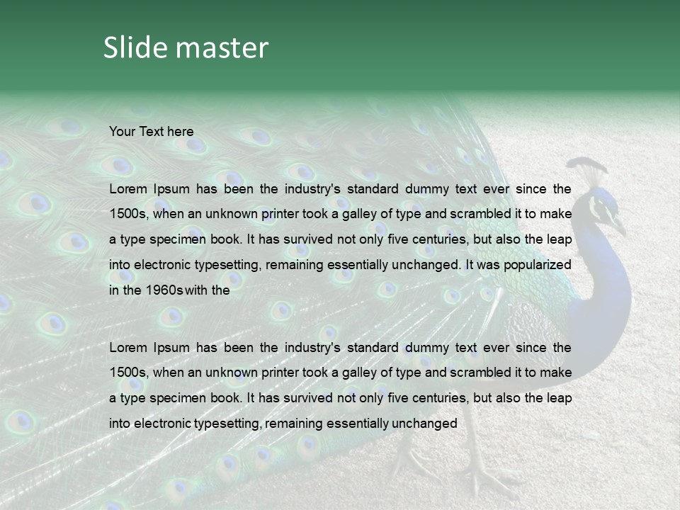 Peacock PowerPoint Template