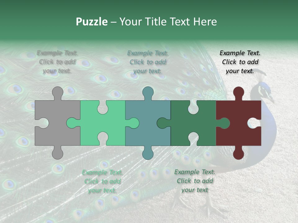 Peacock PowerPoint Template