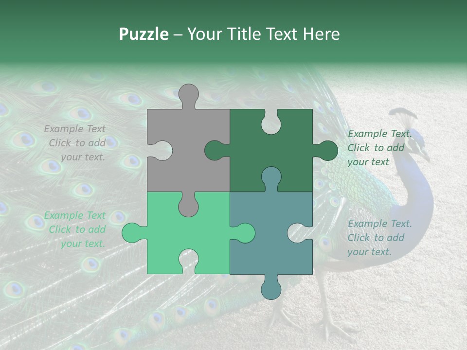 Peacock PowerPoint Template