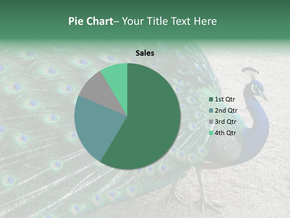 Peacock PowerPoint Template