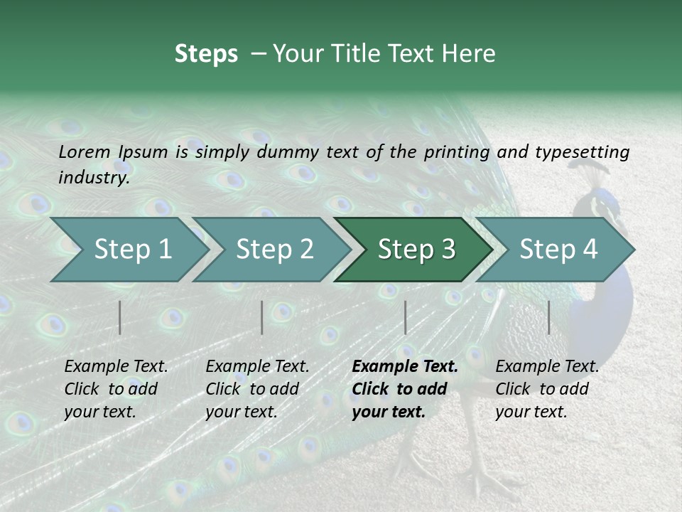 Peacock PowerPoint Template