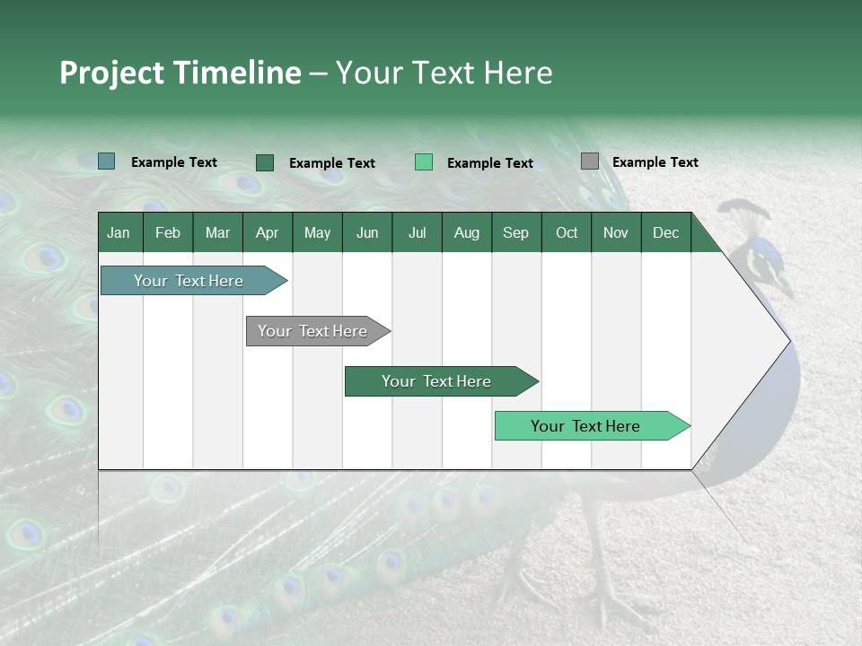 Peacock PowerPoint Template