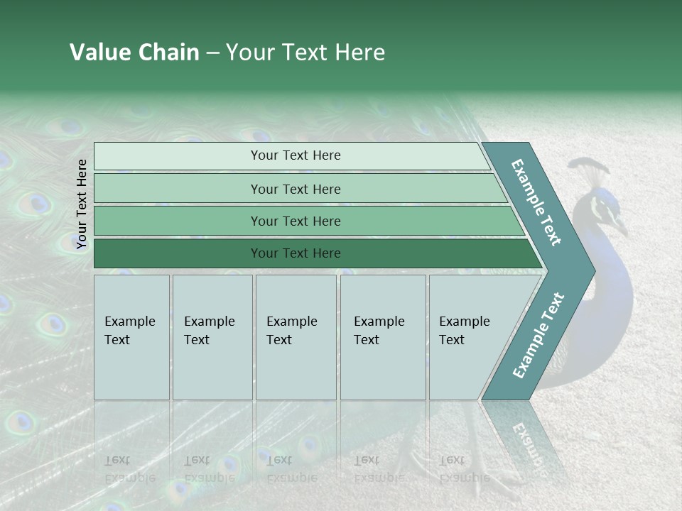 Peacock PowerPoint Template