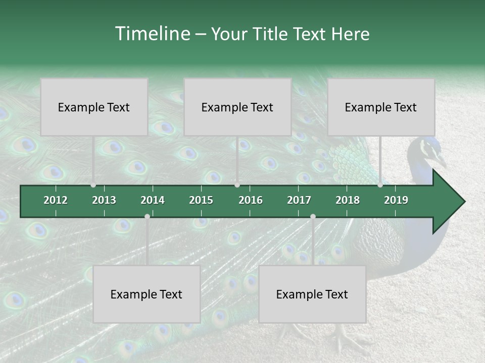 Peacock PowerPoint Template