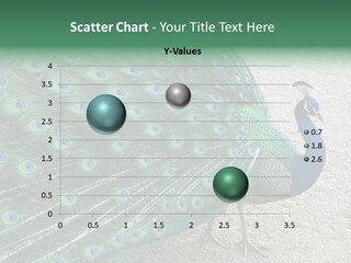 Peacock PowerPoint Template